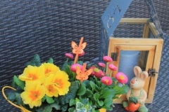 Blumen (18)