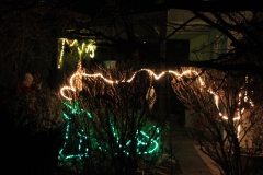 Weihnachten_2015 (10)