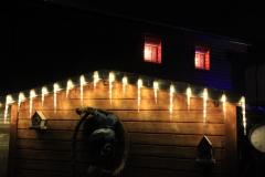 Weihnachten_2015 (12)