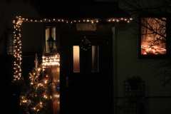 Weihnachten_2015 (4)