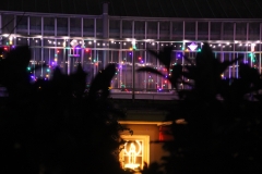 Weihnachten_2015 (48)