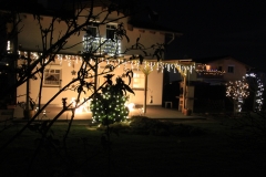 Weihnachten_2015 (6)