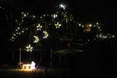 Weihnachten_2015 (9)